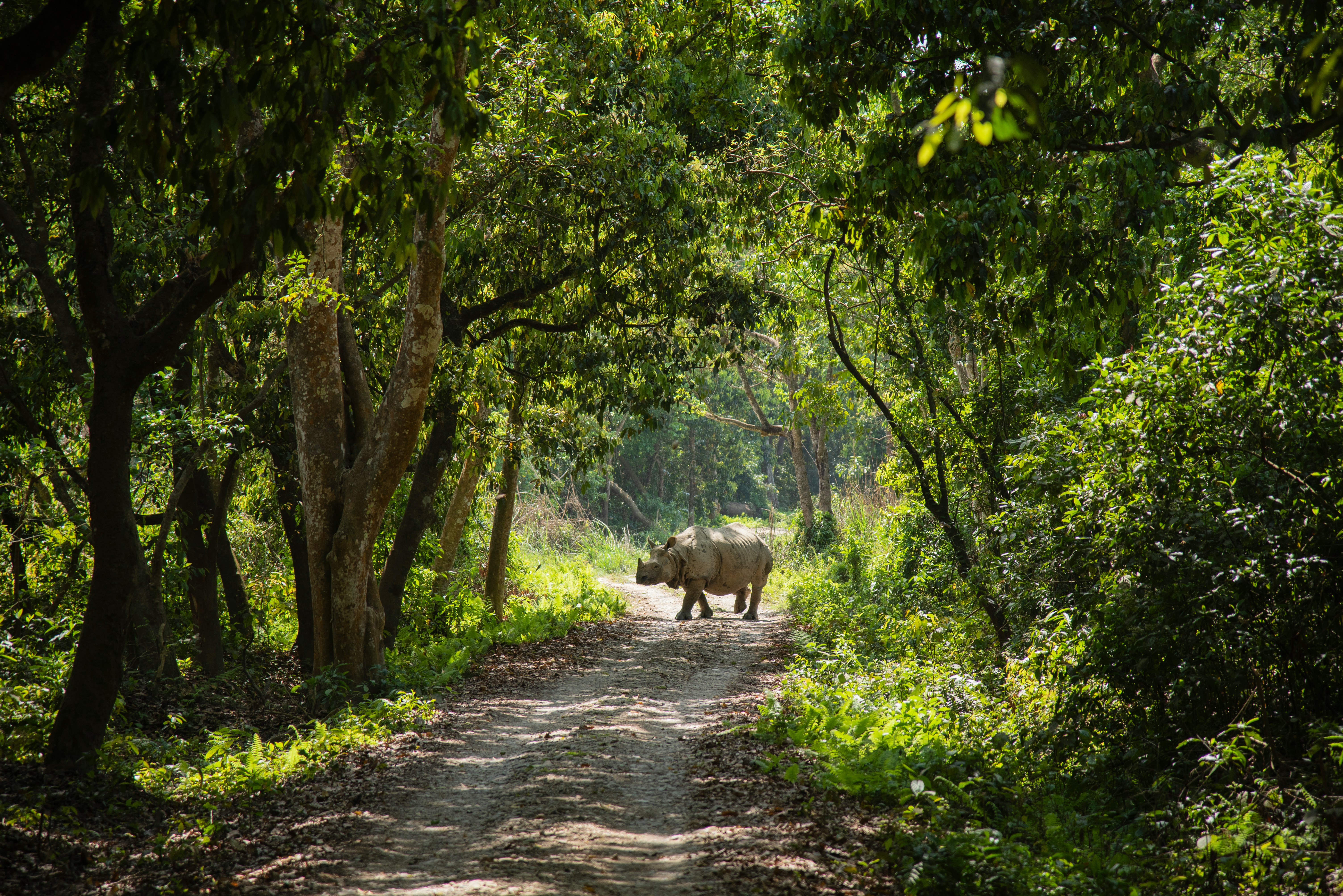 Chitwan National Park